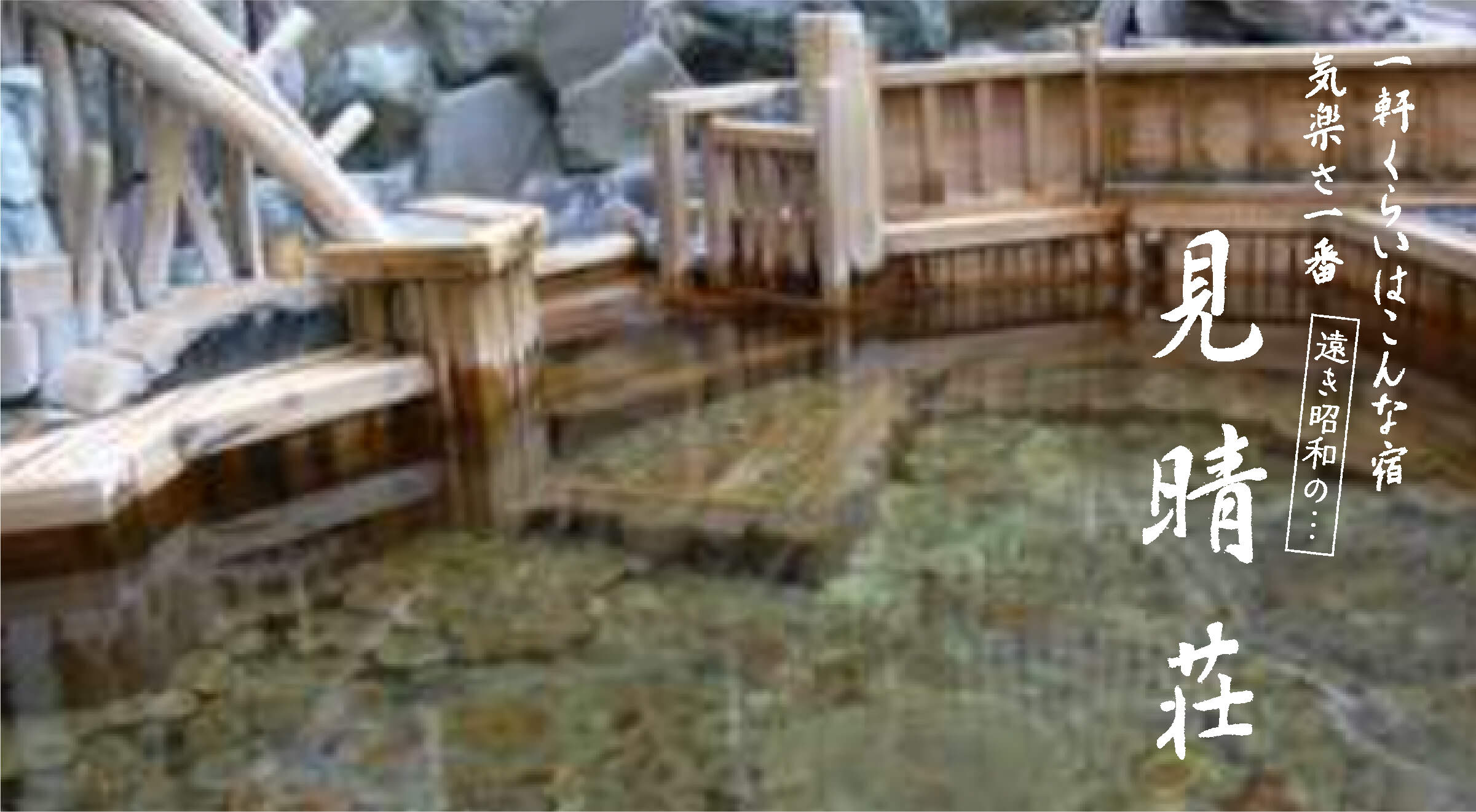 老神温泉 天然湯 見晴荘