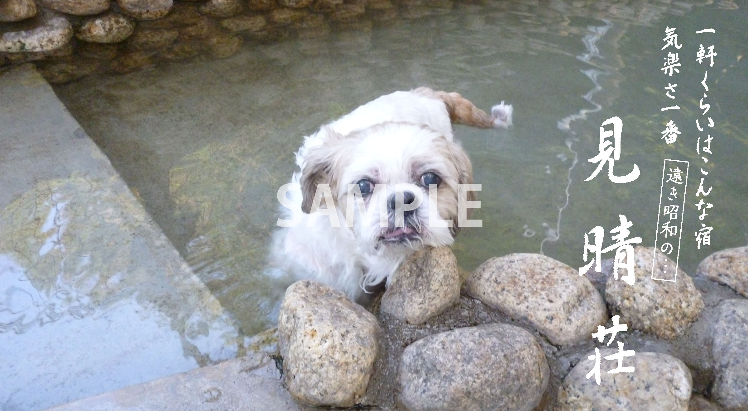 老神温泉 天然湯 見晴荘